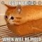 MEOW