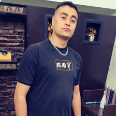 Amir Mahmudi