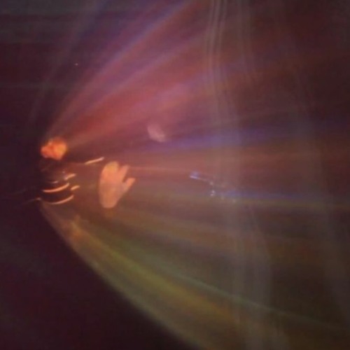 Stream luna ghost music | Listen to 