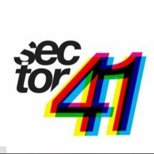 sec tor 41’s avatar