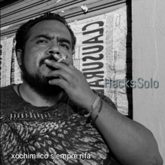 HacksSolo el gato rap