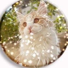 cat/therian