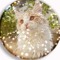 cat/therian