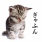 Dwid