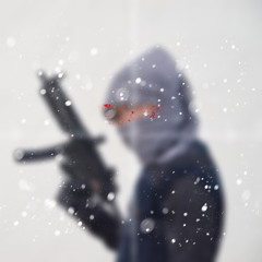 loyalgun