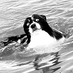 Na stole prázdna fľaša