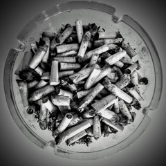 223.hollowpoint wound