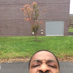 Terrence Terrell
