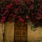 Mariam Alnainoom