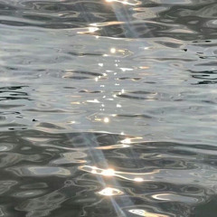 ✨