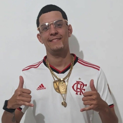 DJ MOSQUITO DO VIDIGAL 🇺🇸’s avatar