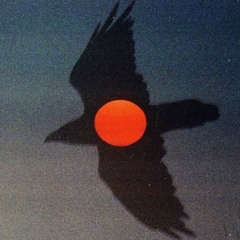 ☼