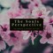 The Souls Perspective
