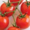 idk tomato