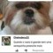 vaezinho