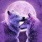 Wolfy