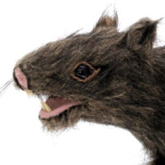 Ratcakes