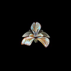 MARKULINE Records (New Phase)