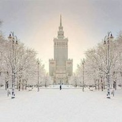 عماد الجيزاوي