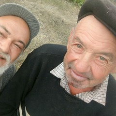 шоцесукаробиться