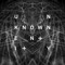 Unknown_Entity