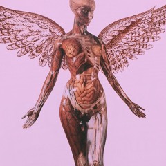 The Luv Frequency