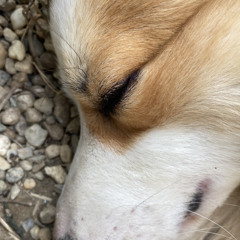 Nguyễn Ngọc Trúc Linh