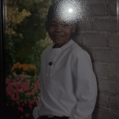 D_sturdy