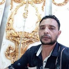 عصام فوزي