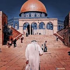 ندي مصطفي