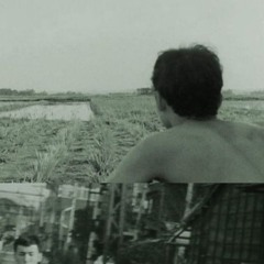 bionicboyladymeatmincer