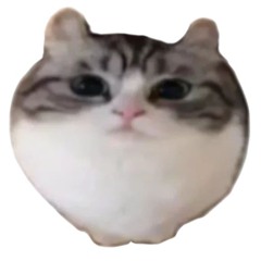 Kiparis