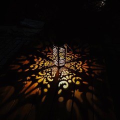 Emotive Shadows