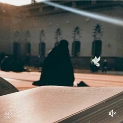 Alyaa Elkalawy
