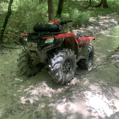 clifford the big red honda