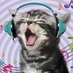 meowMixer