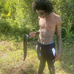 Li showtime