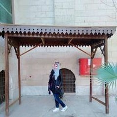 WaLaa Ahmed Abd Elaziz