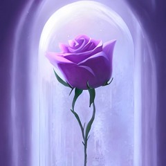 Aria Haghighizadeh