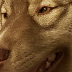 ALL slim, Lslimmer $2022$ Or ALL2023 60546