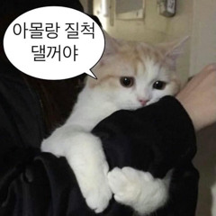seony_uie