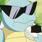 TURDLE