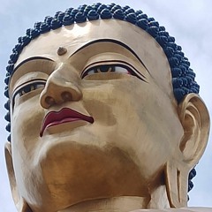 Dewachen Monlam極樂淨土祈願文