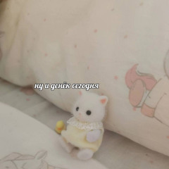 ds_karina_ds