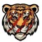 Tigerboss678