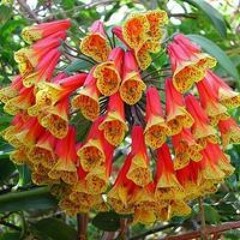 Trái Tim Bốn Mùa
