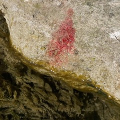 soil