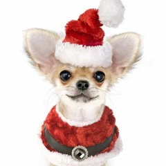 Tiny Dog