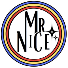 Mr Nice