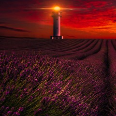 SunsetReaper